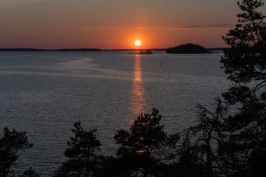 Denizde gün batımı, kayalar ve kuzey alçak çam ağaçları. Finlandiya doğası. Turku. Tatil, tatil, rahatlama konsepti