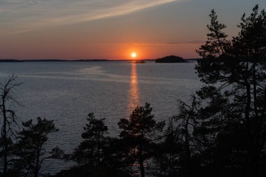 Denizde gün batımı, kayalar ve kuzey alçak çam ağaçları. Finlandiya doğası. Turku. Tatil, tatil, rahatlama konsepti