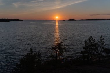 Denizde gün batımı, kayalar ve kuzey alçak çam ağaçları. Finlandiya doğası. Turku. Tatil, tatil, rahatlama konsepti