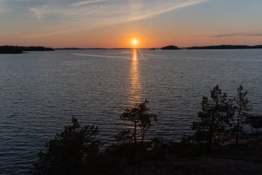 Denizde gün batımı, kayalar ve kuzey alçak çam ağaçları. Finlandiya doğası. Turku. Tatil, tatil, rahatlama konsepti