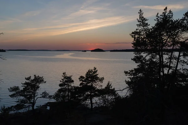 Puesta Sol Mar Rocas Pinos Bajos Del Norte Naturaleza Finlandesa —  Fotos de Stock