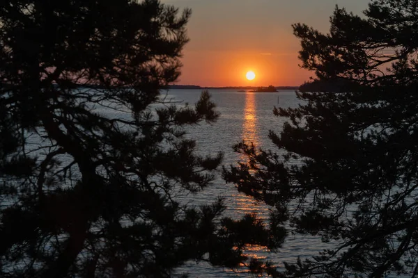 Sonnenuntergang Über Dem Meer Felsen Und Nördlichen Niedrigen Kiefern Finnische — Stockfoto