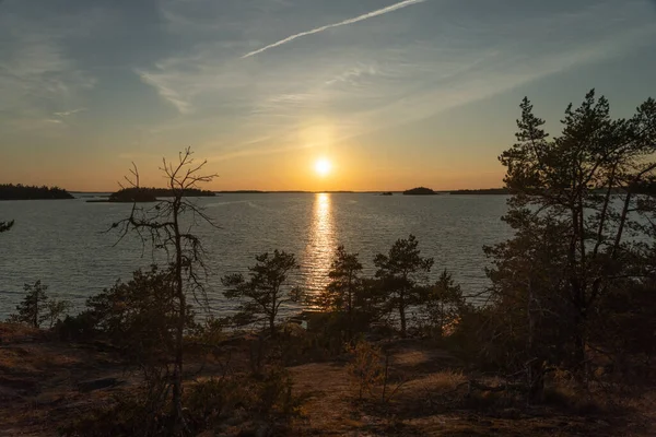 Pôr Sol Mar Rochas Pinheiros Baixos Norte Natureza Finlandesa Turku — Fotografia de Stock