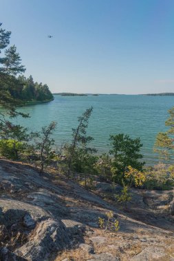 Deniz manzarası, kayalar ve güneşli bir günde kuzey alçak çam ağaçları. Finlandiya doğası. Turku. Tatil, tatil, rahatlama konsepti