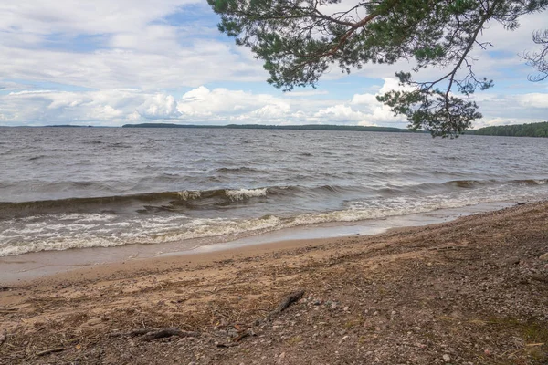 Морський Пейзаж Сильний Вітер Серфінг Скелясте Дно — стокове фото