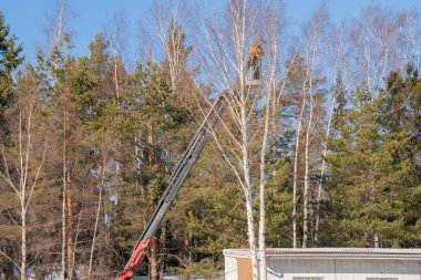 Espoo 'da. Finlandiya 14 Mart 2022. İnşaat çalışmaları devam ediyor. İşçi ağaçların dallarını kesiyor