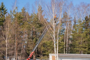 Espoo 'da. Finlandiya 14 Mart 2022. İnşaat çalışmaları devam ediyor. İşçi ağaçların dallarını kesiyor