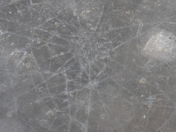 얼음에 가운데귀 — 스톡 사진