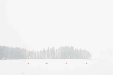 Kar yağışı. Göl üzerindeki kış manzarası. Ön planda ağaçlar var..