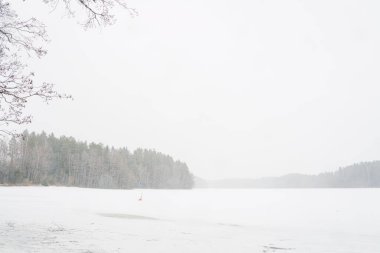Kar yağışı. Göl üzerindeki kış manzarası. Ön planda ağaçlar var..