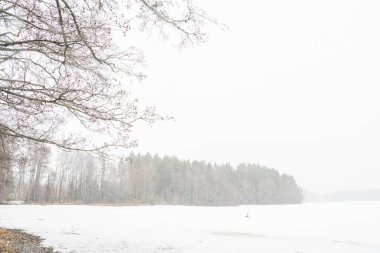 Kar yağışı. Göl üzerindeki kış manzarası. Ön planda ağaçlar var..