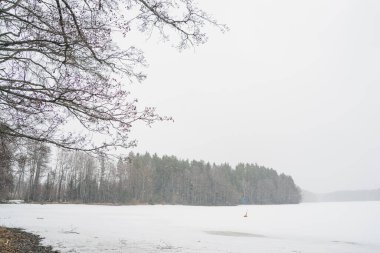 Kar yağışı. Göl üzerindeki kış manzarası. Ön planda ağaçlar var..