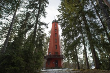 Finlandiya. Kaukolanharjun torni.3 Nisan 2022. Mavi gökyüzüne bakan yüksek ahşap gözlem kulesi, yerden Finlandiya manzaralı. Doğa keşfi konsepti, gözlem güvertesi,