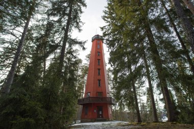 Finlandiya. Kaukolanharjun torni.3 Nisan 2022. Mavi gökyüzüne bakan yüksek ahşap gözlem kulesi, yerden Finlandiya manzaralı. Doğa keşfi konsepti, gözlem güvertesi,