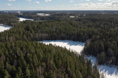 Karla kaplı bir ormanın üzerindeki kış manzarası. Drone fotoğrafı. İskandinavya. Finlandiya.