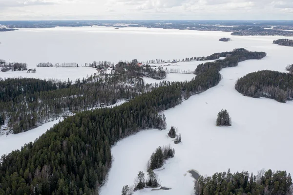 Paisagem Sobre Uma Floresta Lago Coberto Gelo Neve Foto Drone — Fotografia de Stock