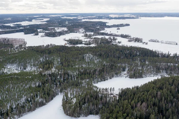 Paisagem Sobre Uma Floresta Lago Coberto Gelo Neve Foto Drone — Fotografia de Stock