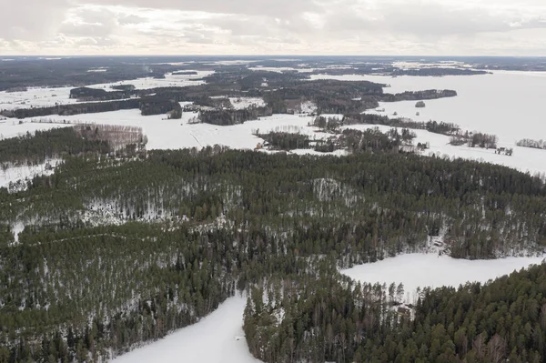 Paisagem Sobre Uma Floresta Lago Coberto Gelo Neve Foto Drone — Fotografia de Stock