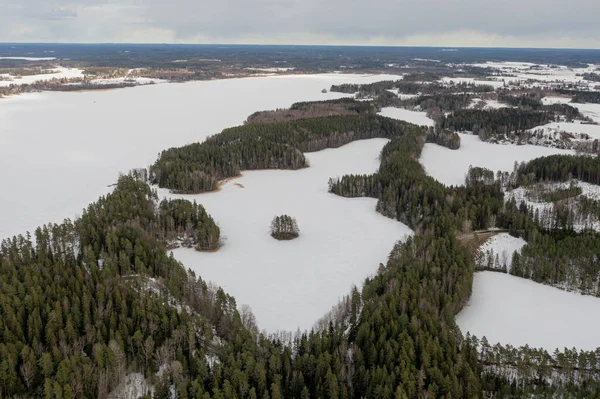 Paisagem Sobre Uma Floresta Lago Coberto Gelo Neve Foto Drone — Fotografia de Stock