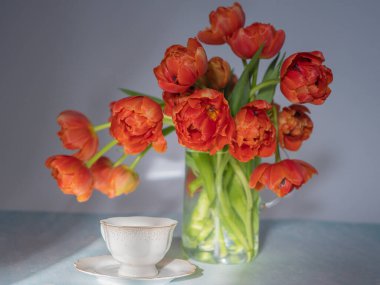 Kırmızı, vazoda kırmızı laleler ve beyaz bir fincan kahve. Tebrik ve barış kavramı. Metin için boşluk var