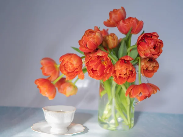 Scharlachrote Tulpen Einer Vase Und Eine Weiße Tasse Kaffee Das Stockbild