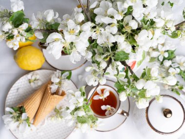Beyaz çay seti, fincanlarda çay, sarı limonlar ve çiçek açan bir elma dalı. Yukardan bakıldığında, çay tabağında waffle konileri var..