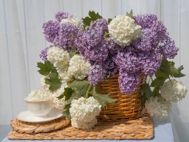 A bouquet of lilacs, white viburnum in a basket and a tea set. on the table in the garden, the background is white clipart
