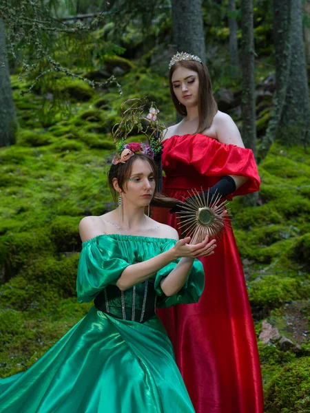Duas Meninas Bonitas Vestidos Longos Fundo Floresta Ninfas Floresta — Fotografia de Stock