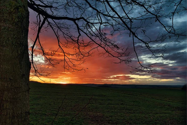 Silhuett Ett Träd Ett Fält Mot Dramatisk Solnedgång — Stockfoto