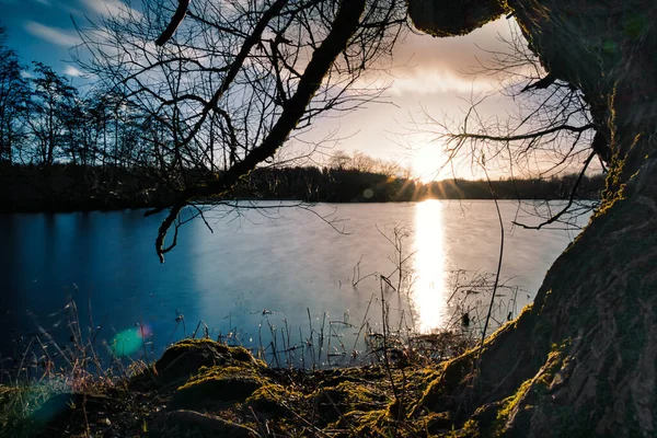 島と木のある小さな湖での夕日 — ストック写真