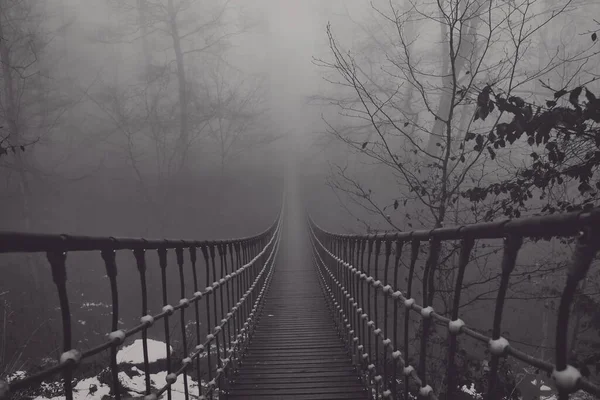 Veduta Ponte Sospeso Nella Nebbia — Foto Stock