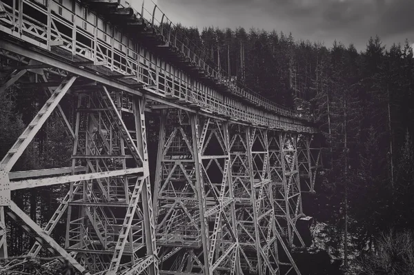 Vista Laterale Vecchio Ponte Ferroviario Ferro Arrugginito Una Valle Boschi — Foto Stock