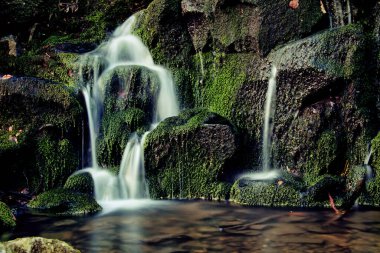 Yeşil yosunlu kayalar ve temiz akarsu ile ormandaki küçük şelale
