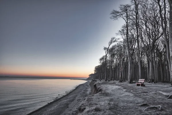 Восход Солнца Лесу Призраке Ниенгагене Балтийское Море Германия Зимой — стоковое фото