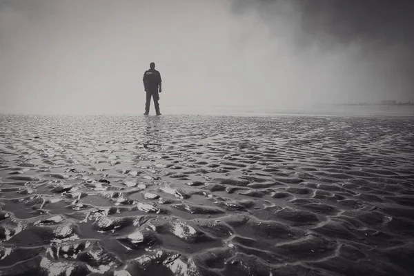 Hiker Wadden Sea Misty Morning — Photo