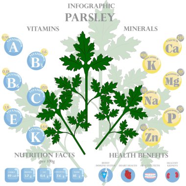Maydanoz beslenme bilgileri ve beyaz arka planda sağlığa yararlı bilgiler. Vektör illüstrasyonu