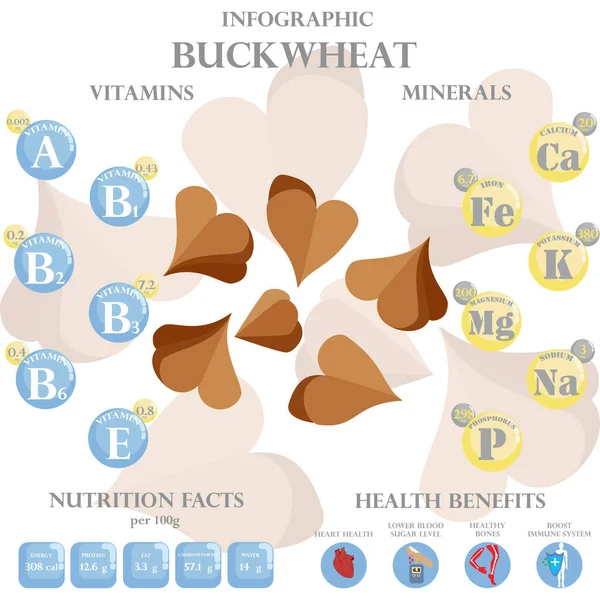 Buckwheat Táplálkozás Tények Egészségügyi Ellátások Infographic Fehér Háttér Vektorillusztráció — Stock Vector