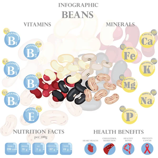 白の背景に栄養の事実と健康上の利点のインフォグラフィックを豆 ベクターイラスト — ストックベクタ