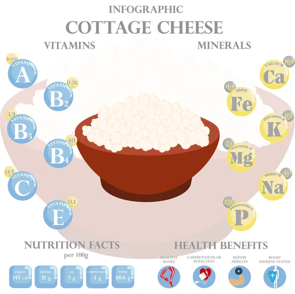 Cottage Sajt Táplálkozás Tények Egészségügyi Ellátások Infographic Fehér Háttér Vektorillusztráció — Stock Vector