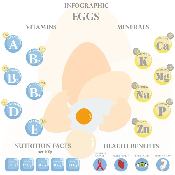 卵栄養の事実と健康上の利点白い背景にインフォグラフィック ベクターイラスト — ストックベクタ