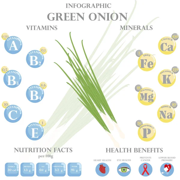 绿色洋葱的营养和健康对白色背景的信息有好处 矢量说明 — 图库矢量图片