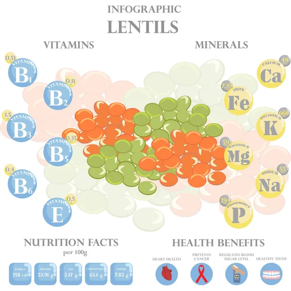 白い背景に栄養の事実と健康上の利点のインフォグラフィックをレンズ豆 ベクターイラスト — ストックベクタ
