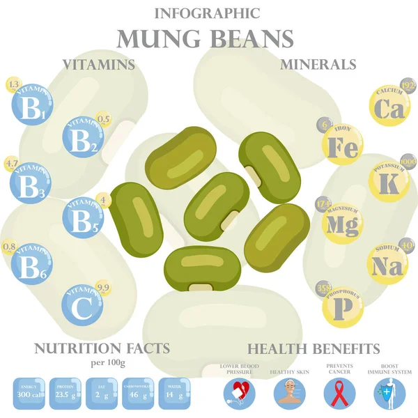 Mungbohnen Ernährungsfaktoren Und Gesundheitliche Vorteile Infografik Auf Weißem Hintergrund Vektorillustration — Stockvektor