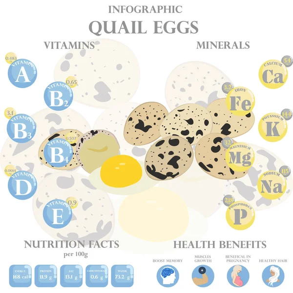 白い背景に卵の栄養の事実と健康上の利点のインフォグラフィックをウズラ ベクターイラスト — ストックベクタ