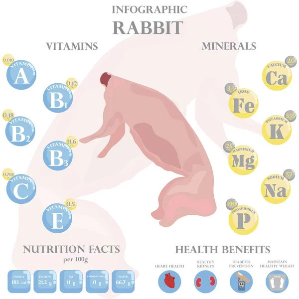 兔子的营养事实和健康对白色背景下的信息有好处 矢量说明 — 图库矢量图片