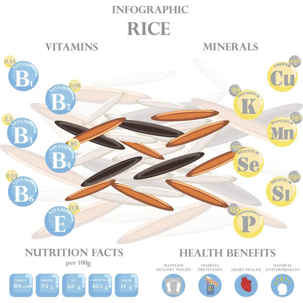 稻米的营养 事实和健康在白人背景下对资讯有好处 矢量说明 — 图库矢量图片