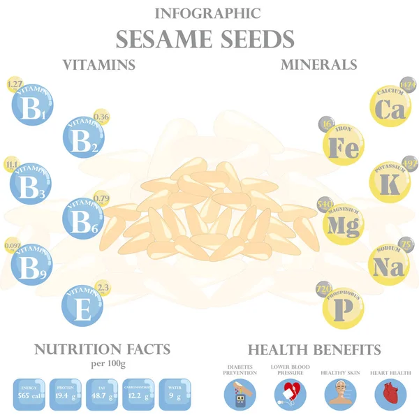Graines Sésame Infographie Valeur Nutritive Des Bienfaits Pour Santé Sur — Image vectorielle