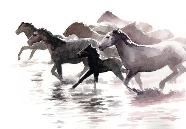 Aquarelle Délicate Dans Une Gamme Étroite Couleurs Troupeau Chevaux Galopant — Photo