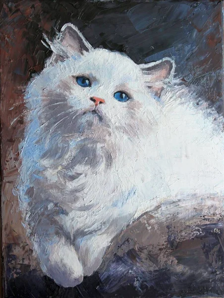 Oil Painting Beautiful Fluffy Ragdoll Cat Blue Eyes Fluffy Cut — Stock Photo, Image