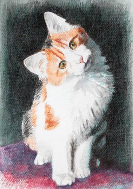 Üç renkli tatlı bir kedi başını eğdi ve bize tuhaf bir şekilde baktı. Resimler suluboya boya kalemleriyle yapılır. 